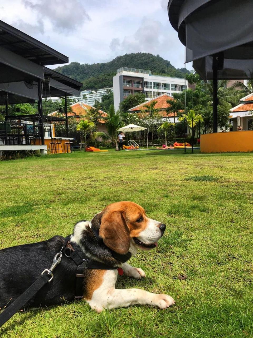 Jazz U Garden Resort Strand Kata Exterior foto